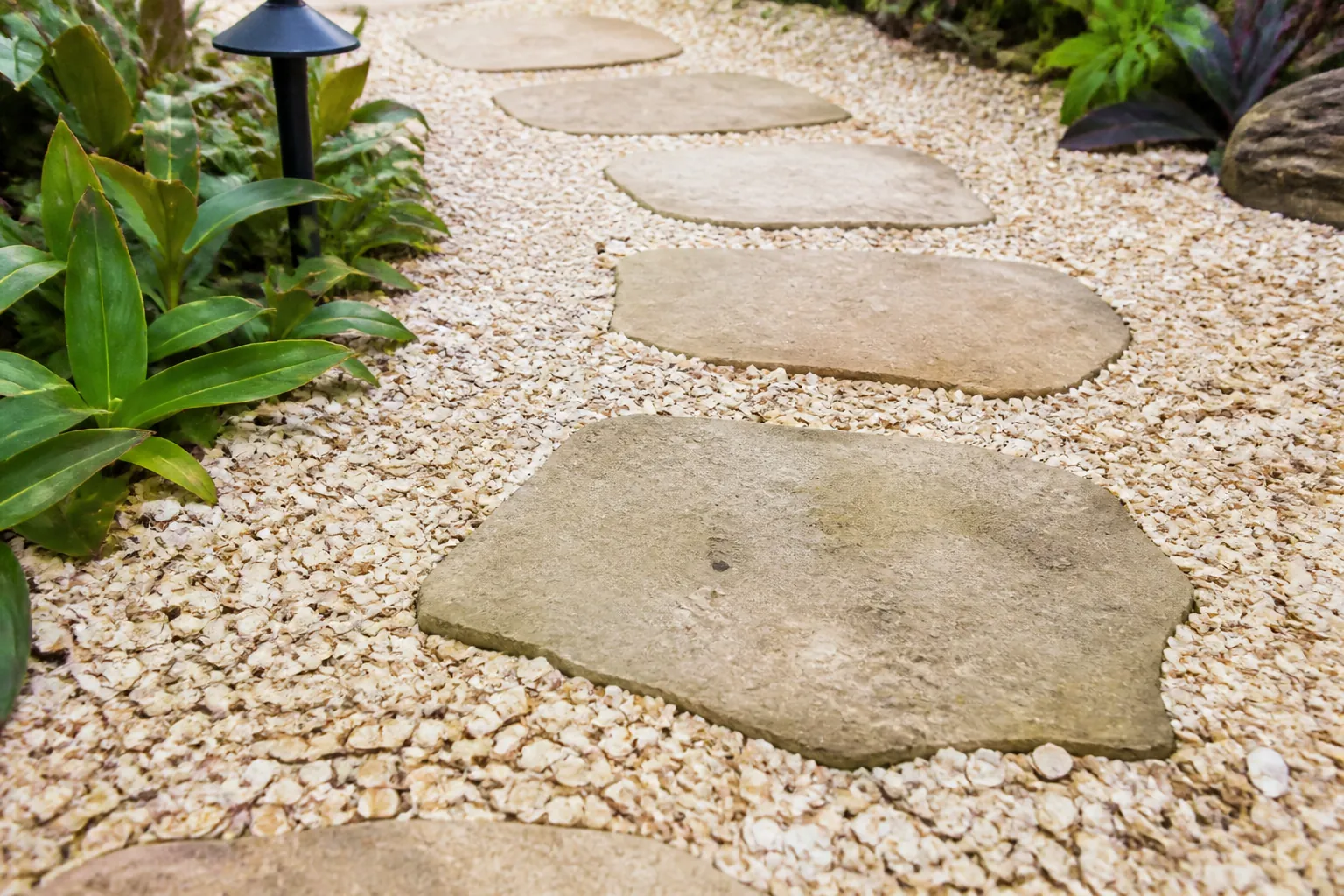 Crushed Shell Surrounding Garden Stepping Stones Flat stepping stones set in pale crushed shell form a garden path bordered by leafy plants and a black landscape light.