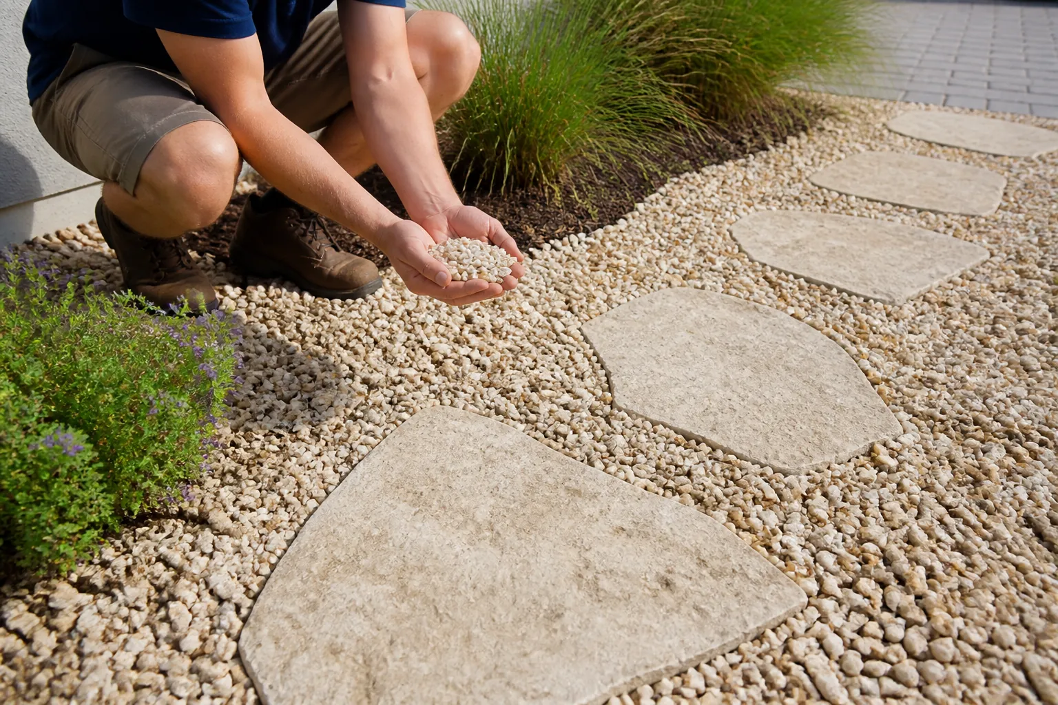 Inspecting Shell Aggregate Beside Stepping Stones A crouching person holds pale shell aggregate in cupped hands beside large stepping stones and ornamental grasses.