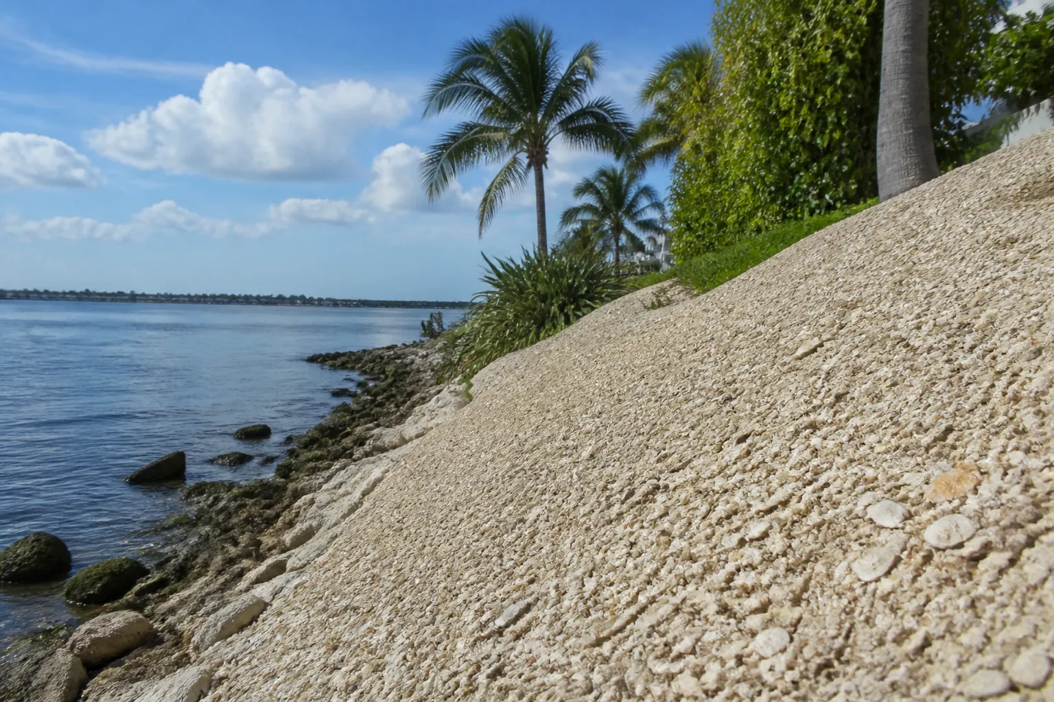 Crushed Shell on a Sloped Waterfront Bank Pale crushed shell covers a steep waterfront slope beside a rocky shoreline, with palm trees and greenery above.