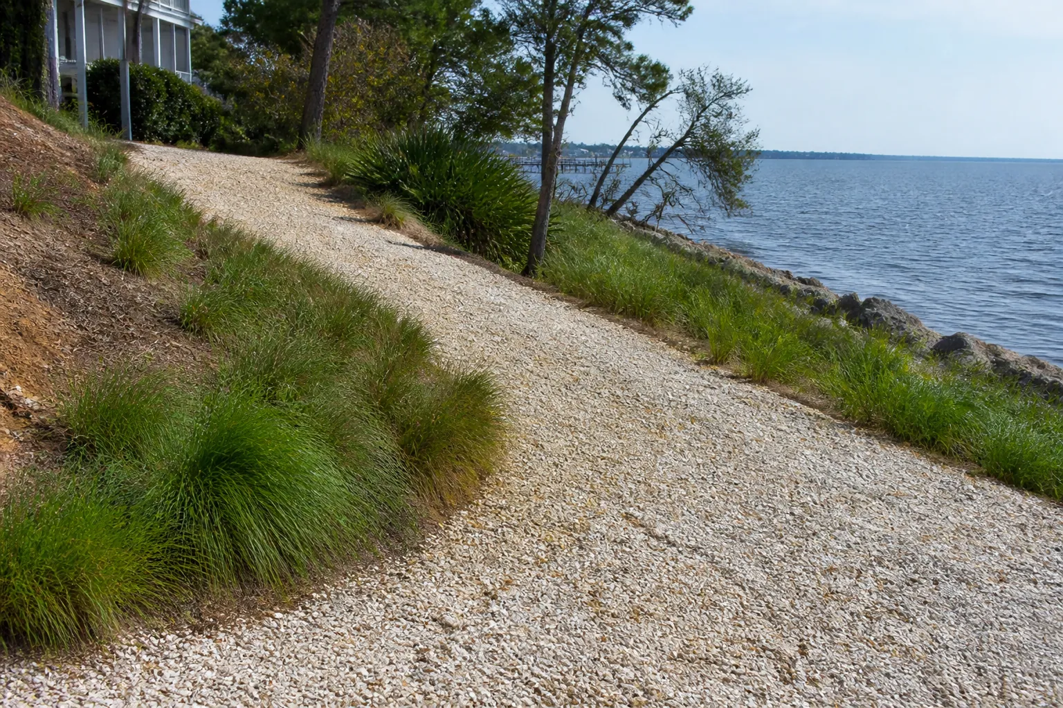 Crushed-Shell Path Along a Waterfront Slope A pale crushed-shell path curves along a grassy waterfront slope, with trees, shoreline rocks and a house uphill.