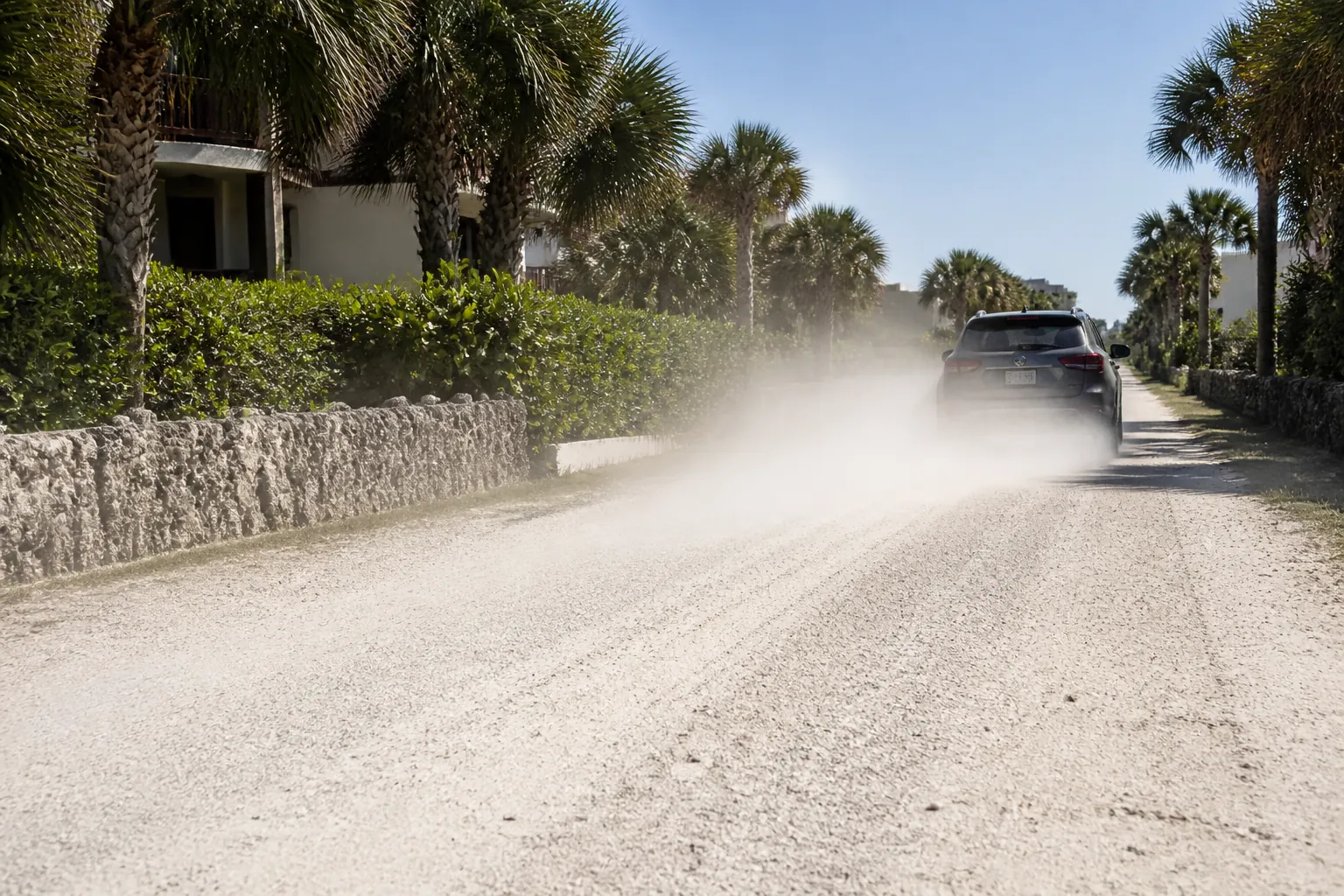 SUV Raising Dust on a Palm-Lined Shell Road A dark SUV kicks up a cloud of dust on a pale shell road lined with palm trees, hedges, and low stone walls.