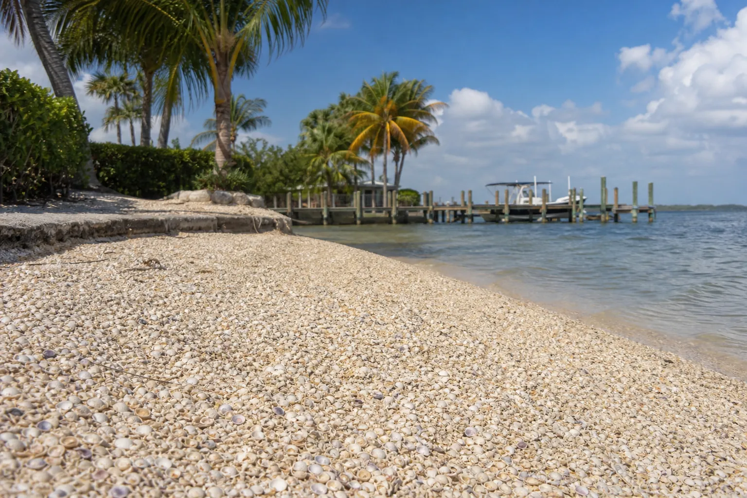 Coquina Shell Shoreline with Palms and a Boat Dock Coquina shells cover a waterfront shoreline beside calm water, with palm trees, a wooden dock, and a boat in the background.