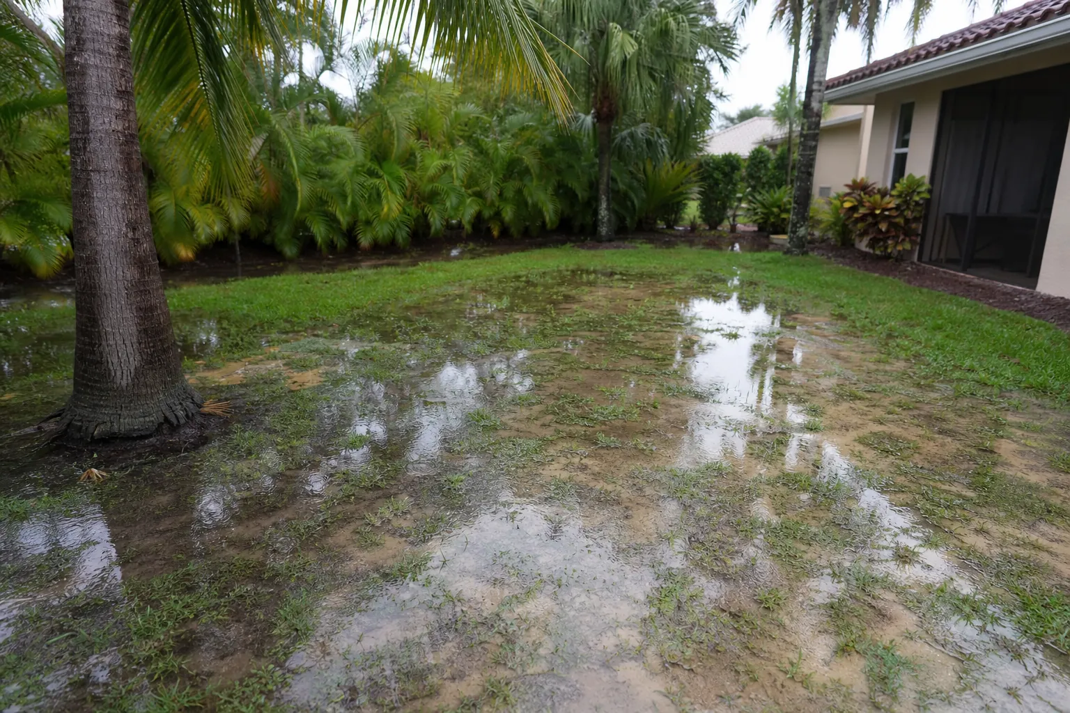 Standing Water Pooling in a Sandy Florida Yard (featured) Standing water pools across a patchy, sandy lawn beside a Florida home surrounded by palm trees and tropical shrubs.