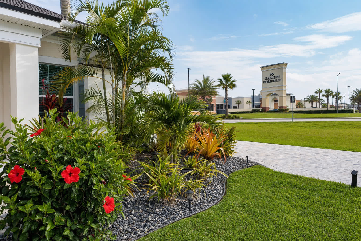 Tropical plants for sale near St. Augustine Outlets on US-1 in Northeast Florida | Tropical Yards St Augustine