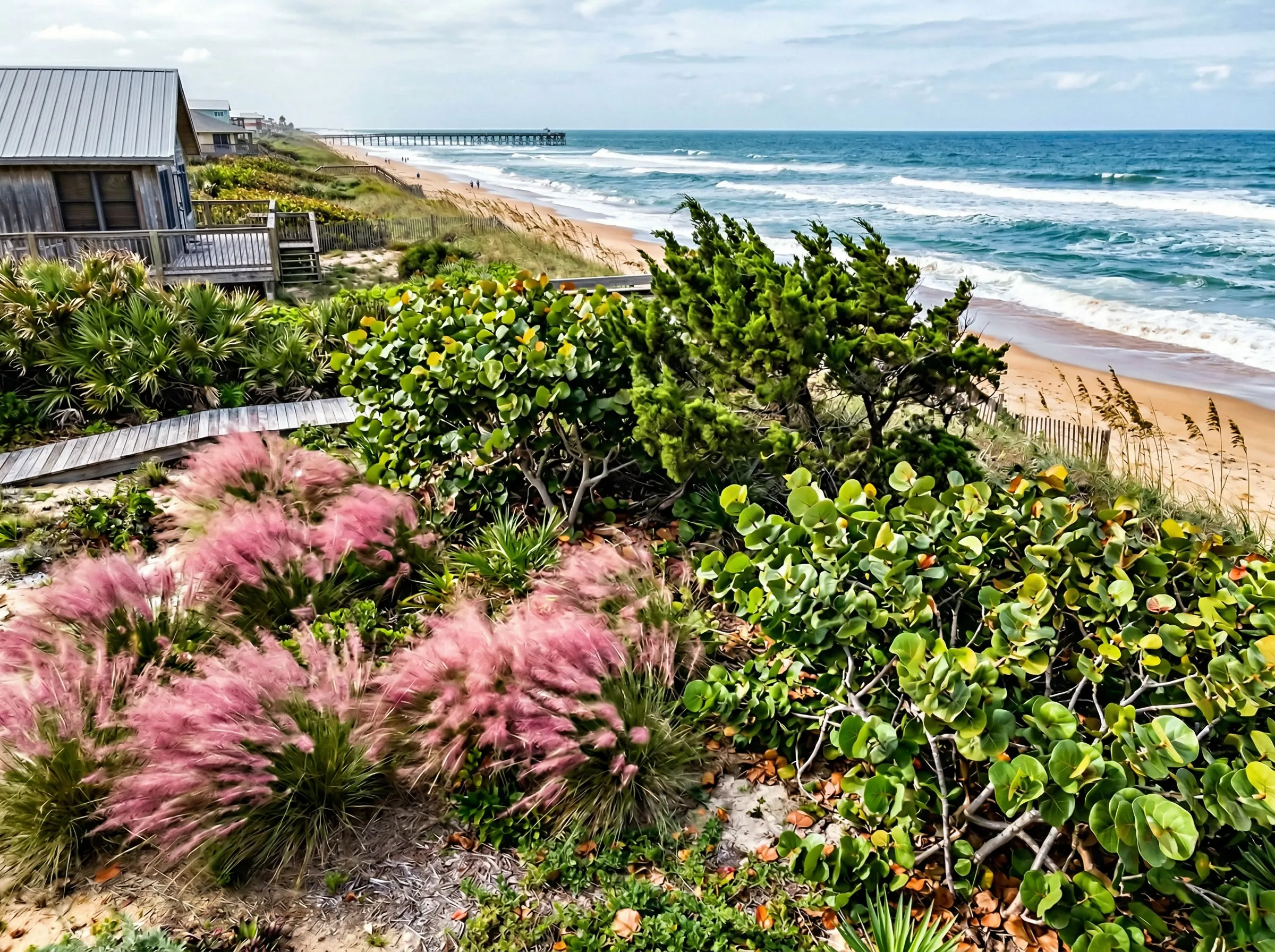 Tropical Plants That Survive Salt Spray in Flagler Beach, FL (Coastal-Proof Picks + Delivered) | Tropical Yards St Augustine, FL